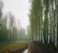 6a21efa7543711ef850eba5f9cbf251e.png