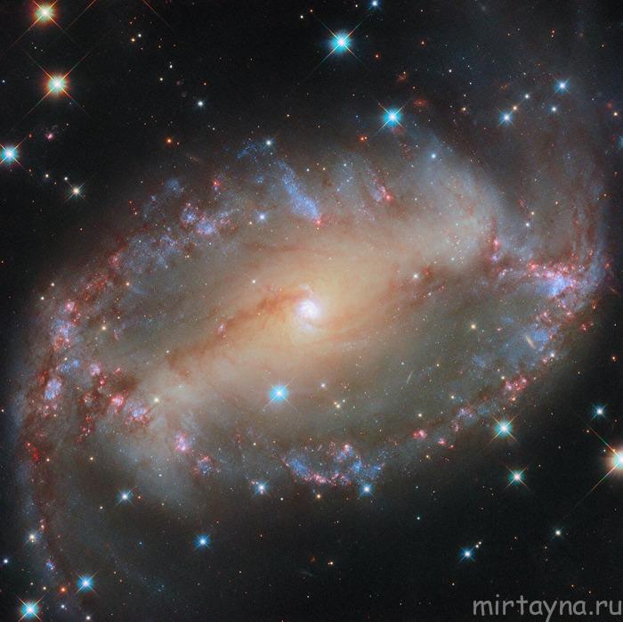 Телескоп «Хаббл» показал спиральную галактику NGC 2566