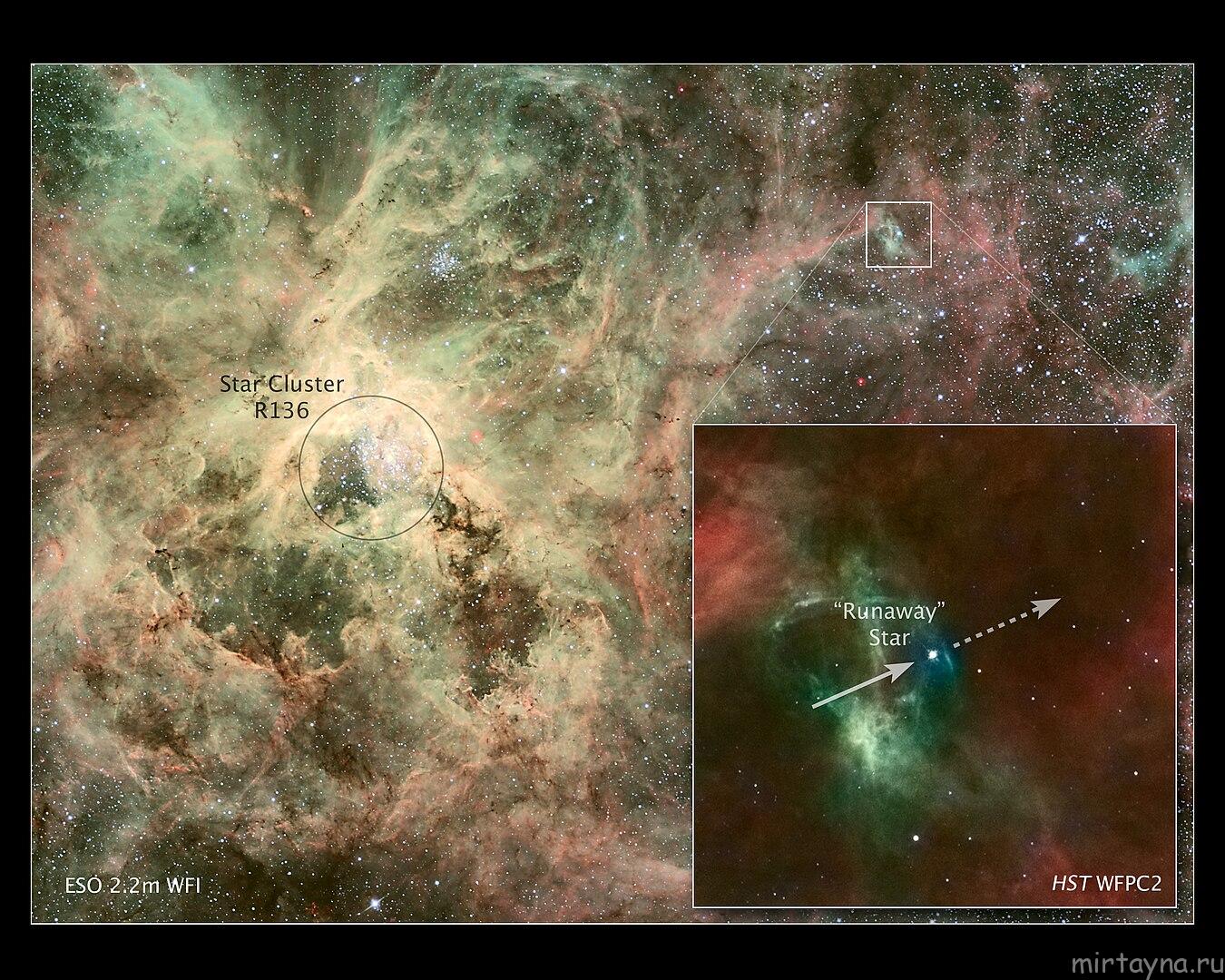 Runaway star near 30 Dorado
