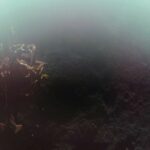 Посадка Blue Ghost на поверхность Луны blue-ghost-first-moon-photo