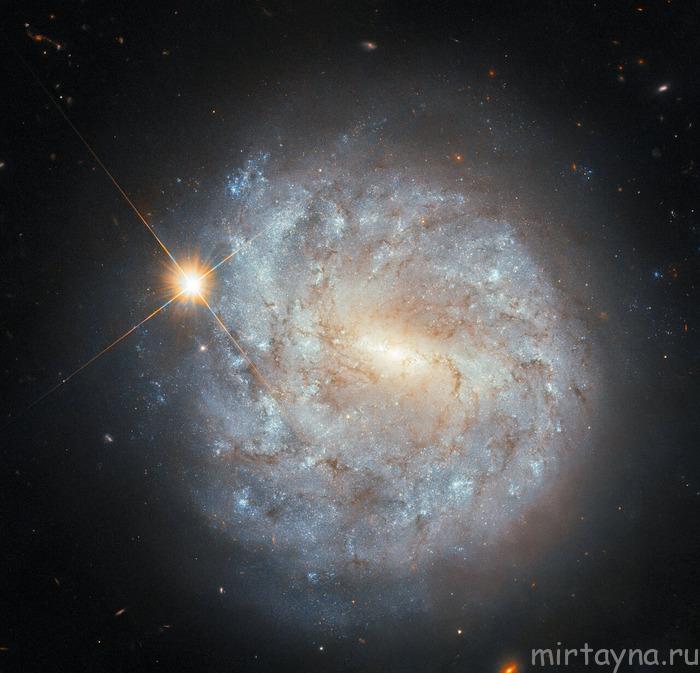 Иллюзия близости: спиральная галактика NGC 4900 и яркая звезда