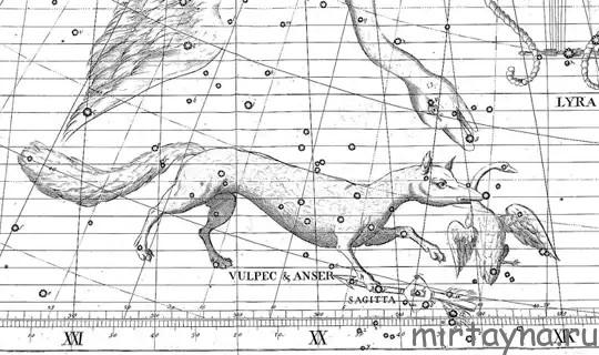 Vulpecula constellation Flamsteed star atlas 1729